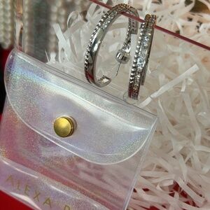 By Alexa Rae December Mystery Box Silver Rhinestone Hoop Earrings NWT